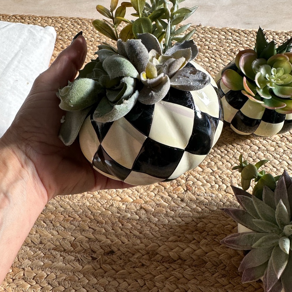 MacKenzie-Childs Black and White Faux Succulent Trio - Picture 4 of 10